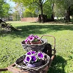 Hébergement de vacances Quinta Do Senhor *