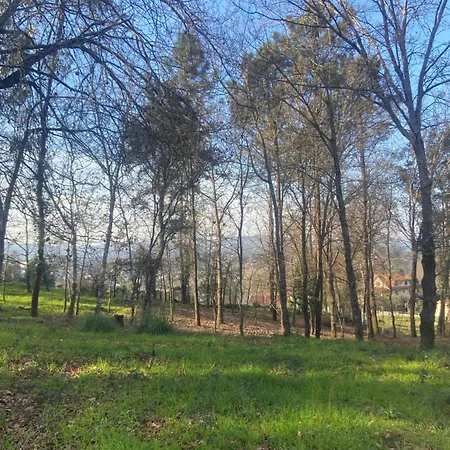 Quinta Do Senhor Braga