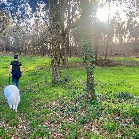 Quinta Do Senhor * Braga