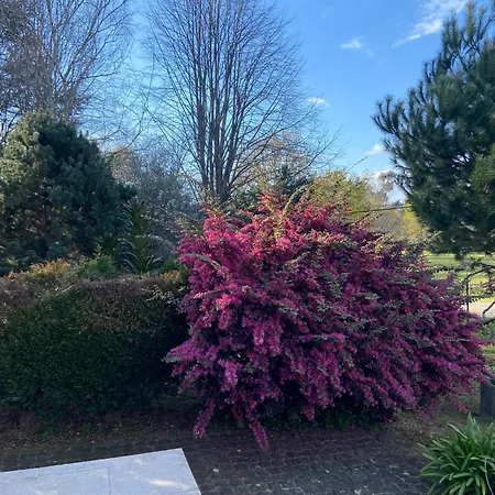 Ferienhaus Quinta Do Senhor Braga