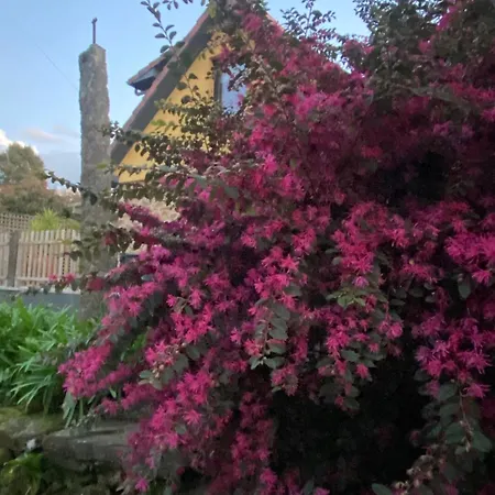 Ferienhaus Quinta Do Senhor