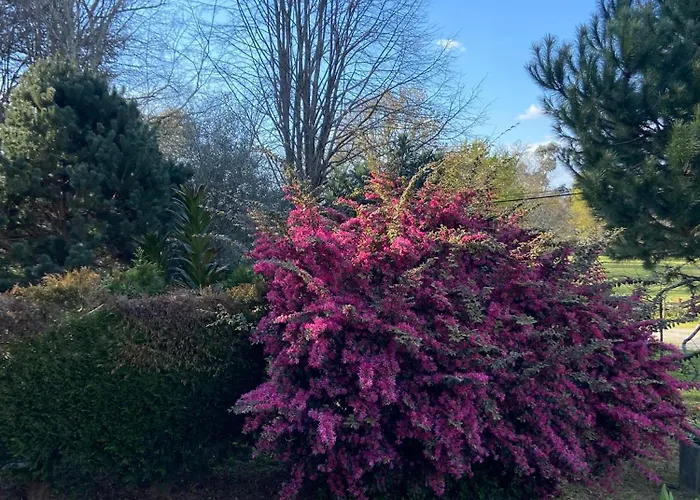 Holiday home Quinta Do Senhor Braga