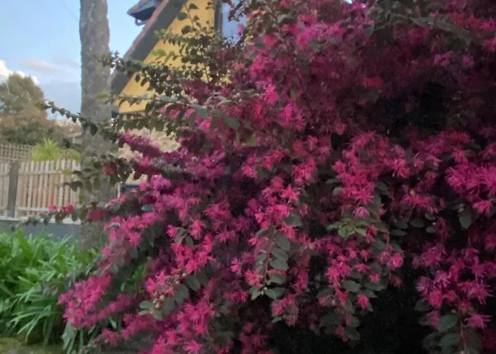 Casa vacanze Quinta Do Senhor