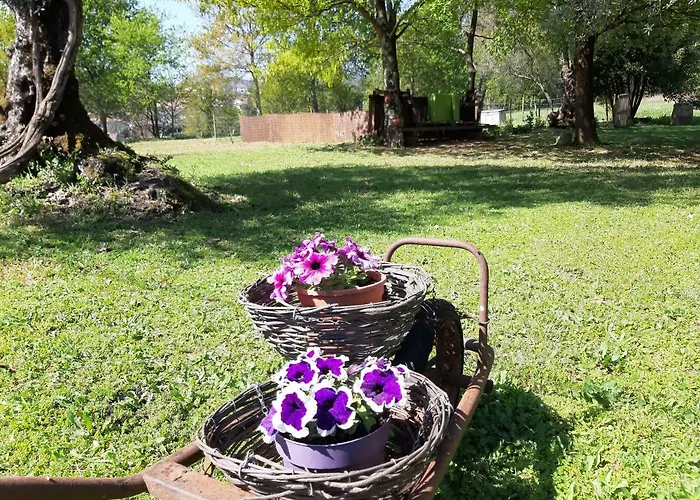 Holiday home Quinta Do Senhor *